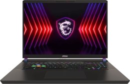 MSI Vector 17 HX (17