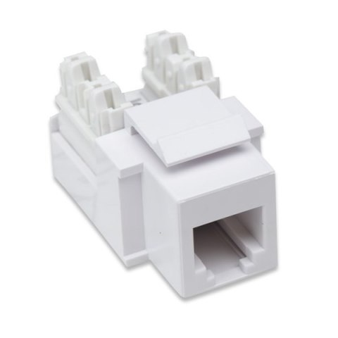 MODUŁ KEYSTONE RJ11/12 BIAŁE MODUŁ KEYSTONE RJ11/12 BIAŁE