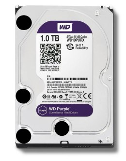 WD Purple 1 TB WD10PURZ (1TB /3.5
