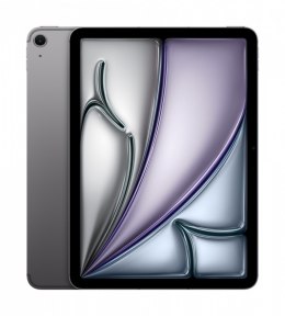 IPad Air 11 cali WiFi 512 GB Szary