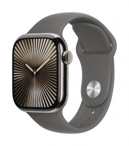 Watch Series 10 GPS + Cellular 42 mm APPLE watchOS 11 Szary