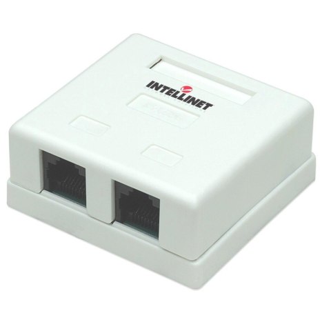 Gniazdo natynkowe 2x RJ45 Cat5e UTP beżowe