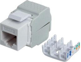 INTELLINET NETWORK SOLUTIONS 167062 Moduł