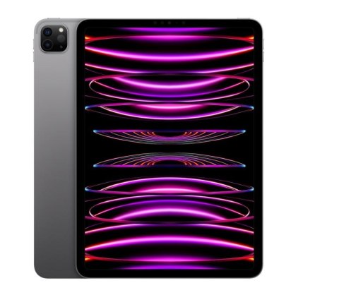 Tablet APPLE iPad Pro 11 cali Wi-Fi 2 TB Gwiezdna Szarość (11"/Apple M2/2 TB/iPadOS 16/Wi-Fi/Szaro-czarny)