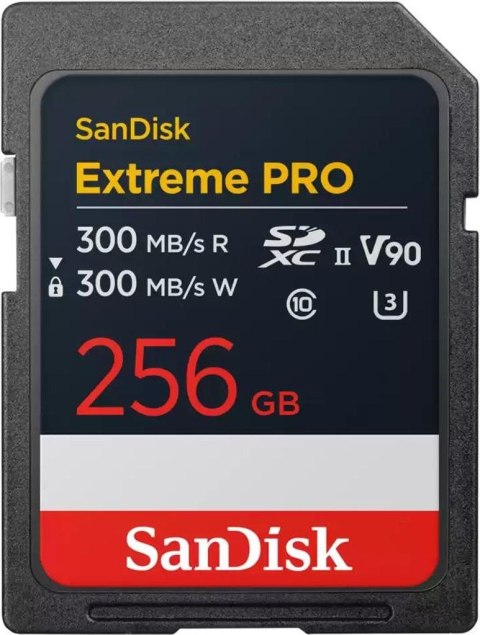 SDSDXDM-256G-GN4IN