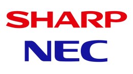NEC 200006987