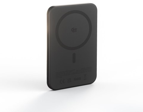 Powerbank ZENS ZEPP11B/00