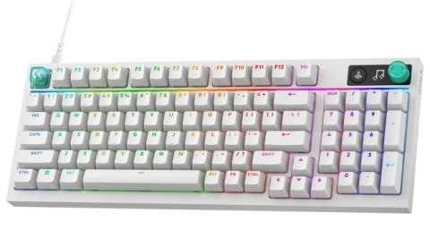 Klawiatura Przewodowa LOGITECH G316 X 98 - WHITE - (US) INTL