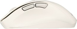 Mysz Bezprzewodowa ASUS MD105 Milky White