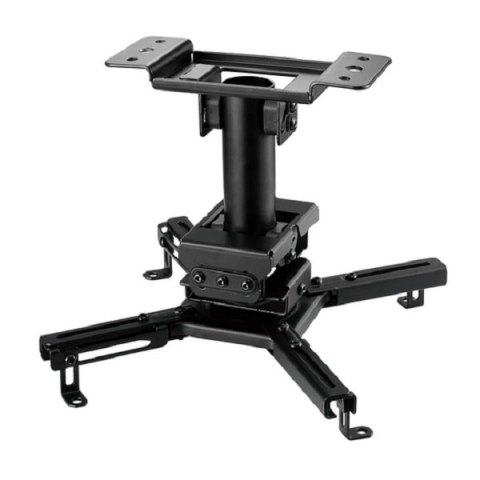 Uchwyt do TV NEWSTAR CL25-530BL1 (nośność 45kg ) Uchwyt do TV NEWSTAR CL25-530BL1 (nośność 45kg )