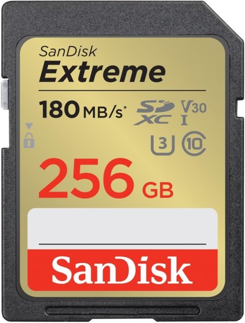 Karta pamięci SANDISK 256 GB Opakowanie Karta pamięci SANDISK 256 GB Opakowanie
