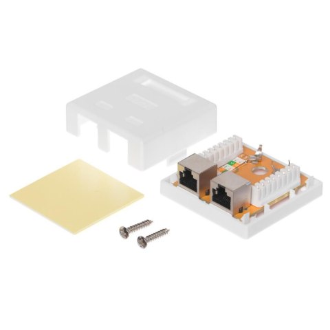 Netrack gniazdo kompletne natynkowe 2 x RJ45 8p8c FTP kat. 6 LSA Netrack gniazdo kompletne natynkowe 2 x RJ45 8p8c FTP kat. 6 LSA