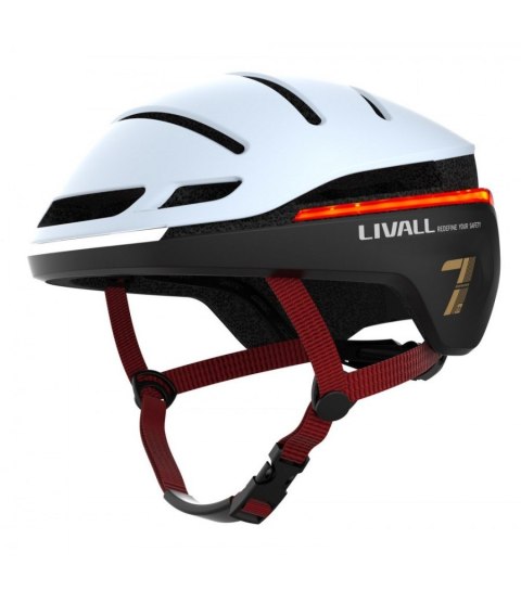 EVO21-L-SNW EVO21-L-SNW