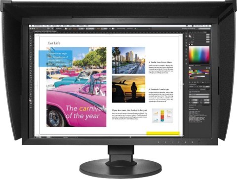 Monitor EIZO CG2420-BK (24.1" /IPS /60Hz /1920 x 1200 /Czarny)