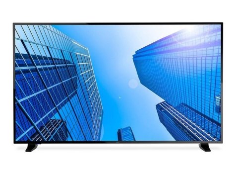 Monitor NEC 60005045 (43" /IPS /60Hz /3840 × 2160 /Czarny ) Monitor NEC 60005045 (43" /IPS /60Hz /3840 × 2160 /Czarny )