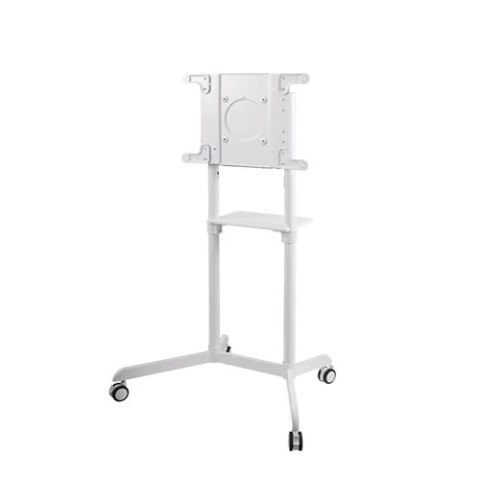 Uchwyt do TV NEOMOUNTS BY NEWSTAR NS-M1250WHITE (nośność 70kg \37 - 70 cali) Uchwyt do TV NEOMOUNTS BY NEWSTAR NS-M1250WHITE (nośność 70kg \37 - 70 cali)