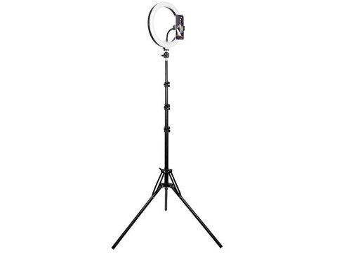 Lampa pierścieniowa Tracer RING 30cm ze statywem 210cm Lampa pierścieniowa Tracer RING 30cm ze statywem 210cm