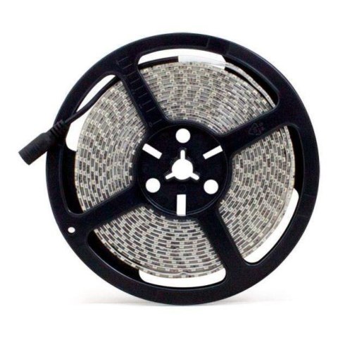 Taśma LED-2835 Abilite b.zimna 600LED 12V 48W IP65 5m/8mm silikon Taśma LED-2835 Abilite b.zimna 600LED 12V 48W IP65 5m/8mm silikon