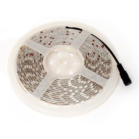 Taśma LED-5050 Abilite b.ciepła 300LED 12V IP65 5m/10mm silikon Taśma LED-5050 Abilite b.ciepła 300LED 12V IP65 5m/10mm silikon