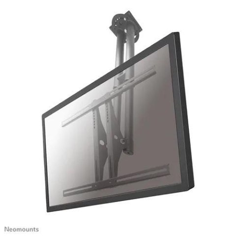Uchwyt sufitowy do ekranów Neomounts PLASMA-C100 37"-75" Vesa 800x450 max 50 kg Silver Uchwyt sufitowy do ekranów Neomounts PLASMA-C100 37"-75" Vesa 800x450 max 50 kg Silver