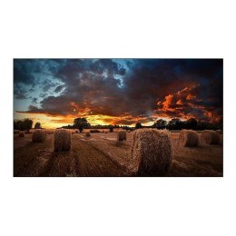 Monitor Samsung 46