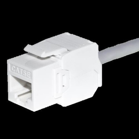 Moduł keystone Jack RJ45 kat. 6 UTP, beznarzędziowy, biały Netrack Moduł keystone Jack RJ45 kat. 6 UTP, beznarzędziowy, biały Netrack