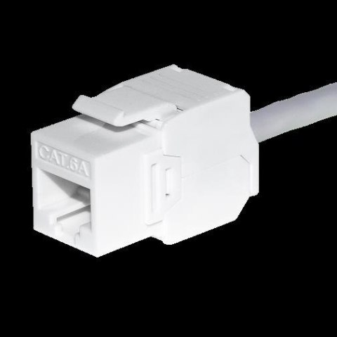 Moduł keystone Jack RJ45 kat. 6A UTP, beznarzędziowy, biały Netrack Moduł keystone Jack RJ45 kat. 6A UTP, beznarzędziowy, biały Netrack