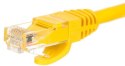 NETRACK RJ45 - RJ45 0.25 m Żółty 0.25 Patchcord