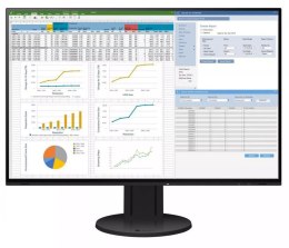 Monitor EIZO EV2457-BK (24.1