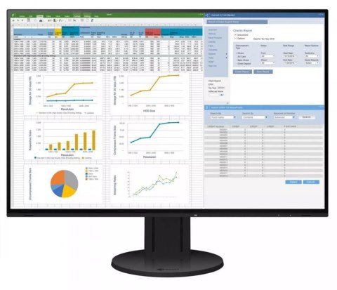 Monitor EIZO EV2457-BK (24.1" /IPS /60Hz /1920 x 1200 /Czarny)