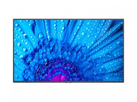 Monitor NEC 60005047 (43" /IPS /60Hz /3840 x 2160 /Czarny ) Monitor NEC 60005047 (43" /IPS /60Hz /3840 x 2160 /Czarny )