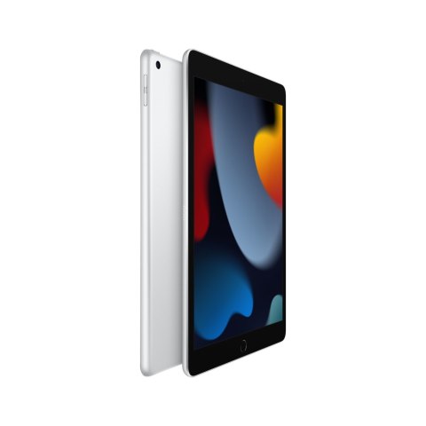 Tablet APPLE iPad gen.9 (10.2"/A13 Bionic/256GB/iPadOS 15/Wi-Fi/Srebrno-czarny)