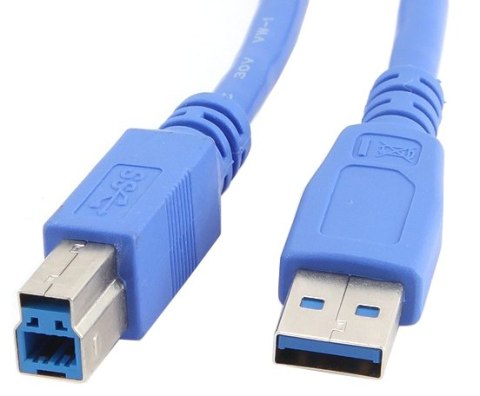 Kabel USB GEMBIRD Typ B 3 Kabel USB GEMBIRD Typ B 3