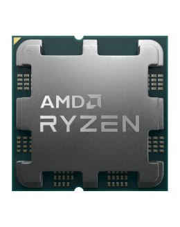 Procesor AMD Ryzen 7 7700, 3.8 GHz, 32 MB, OEM OEM (3.8 GHz /32 MB /Socket AM5 )