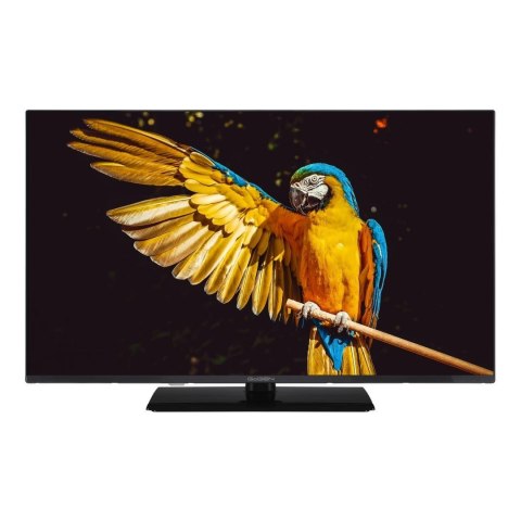 Telewizor GoGEN TVF32M340STWEB 32" Telewizor GoGEN TVF32M340STWEB 32"