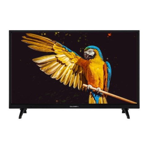 Telewizor GoGEN TVH24A336 24" Telewizor GoGEN TVH24A336 24"