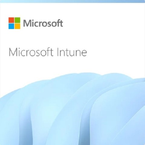 Intune Endpoint Privilege Management MICROSOFT CFQ7TTC0RP6S:0001 CSP